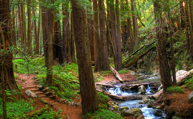 Big Sur, CA