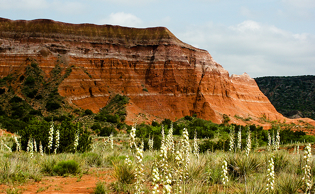 Canyon, TX