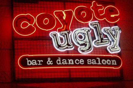 Coyote Ugly