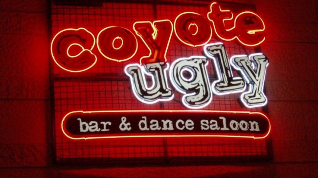 Coyote Ugly Travel Chirp