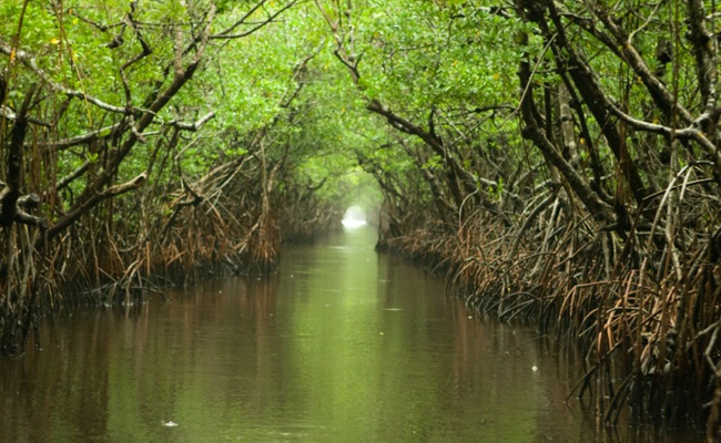 Everglades National Park, FL